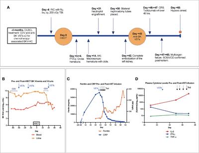 Frontiers Case Report Fatal Complications Of BK Virus Hemorrhagic